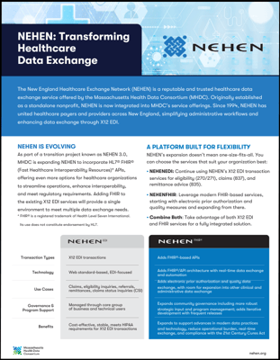 Download NEHEN flyer January 2025